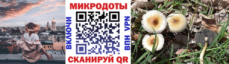 сколько стоит Учалы Галлюциногенные грибы мухоморы